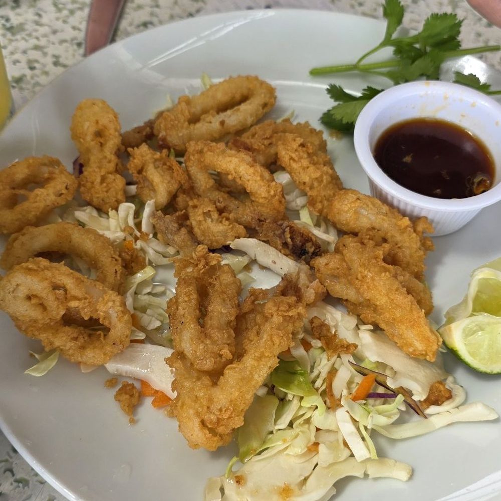 Fried calamari appetizer.