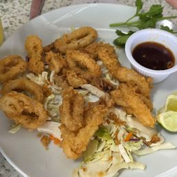 Fried calamari appetizer.