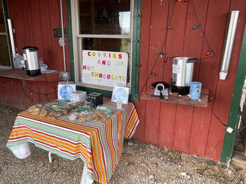 JAY’S TREE FARM Updated September 2024 18 Photos 755 E Joppa Rd