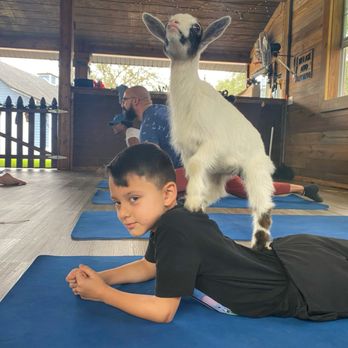 Alaska Farms - Yoga Near Me - Orlando, Florida Alaska Farms - Yoga Near Me - Orlando, Florida