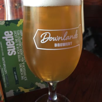 The Bee's Mouth - Pubs Near Me - Brighton, BNH The Bee's Mouth - Pubs Near Me - Brighton, BNH