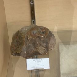Fallbrook Gem & Mineral Society
