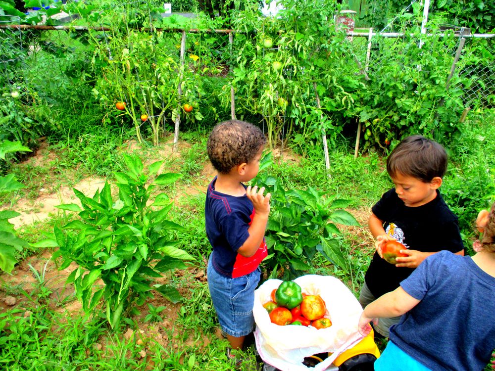 Buenos Amigos Daycare - childcare center in Silver Spring, MD