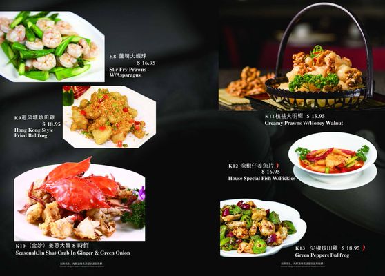 Menu photo 8 Yummy Szechuan Millbrae, CA Menu photo 8 Yummy Szechuan Millbrae, CA
