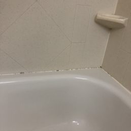 Mold around tub Mold around tub