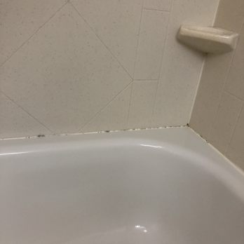 La Quinta by Wyndham Sebring - Mold around tub - Hotels Near Me - Sebring, Florida La Quinta by Wyndham Sebring - Mold around tub - Hotels Near Me - Sebring, Florida