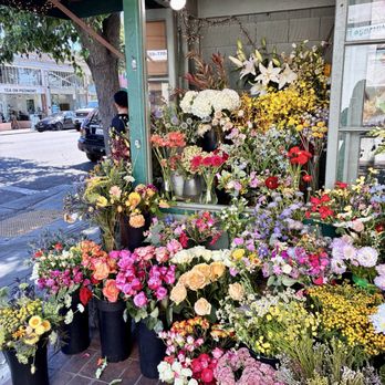Mille Fiori - Florists Near Me - Oakland, California