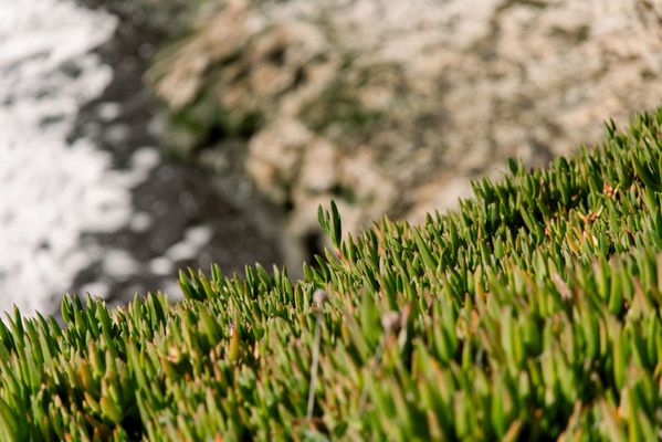 Seymour Marine Discovery Center by null