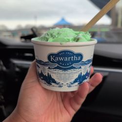 Kawartha Dairy - Baby Scoop of Mint Chip
