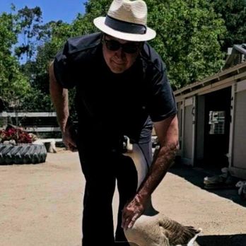 Seein' Spots Farm - Animal Shelters Near Me - Solvang, California Seein' Spots Farm - Animal Shelters Near Me - Solvang, California