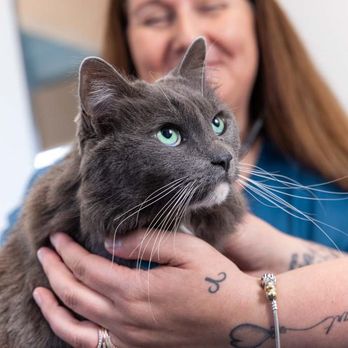 1. Pinole Pet Hospital