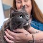 Photo of Pinole Pet Hospital