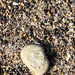 Sea & Sand Rv Park - Little fun photo
