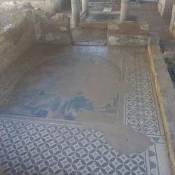Casa del Mitreo - Mosaico