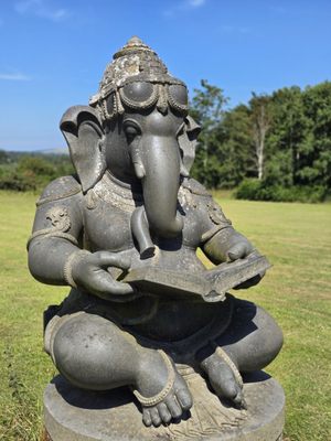 Victor's Way by null