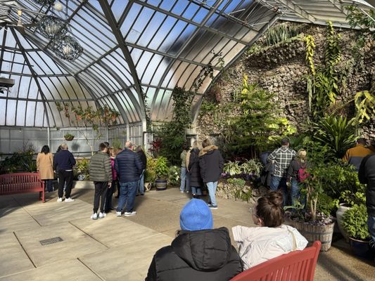 Anna Scripps Whitcomb Conservatory by null