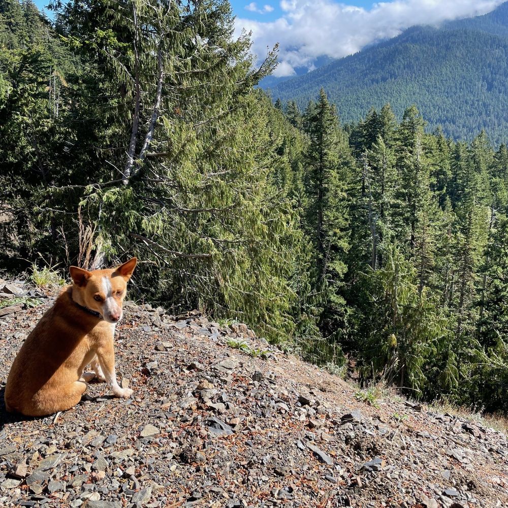Aubrey's RV Center - Mountain dog! - RV Dealers Near Me - Yakima, Washington