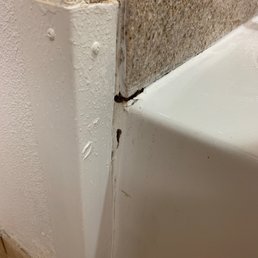 Mold damage