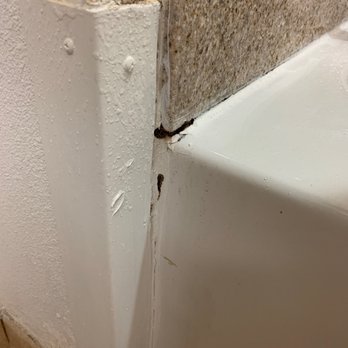 Country Inn & Suites Radisson - Mold damage - Hotels Near Me - Seffner, Florida
