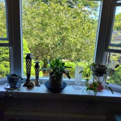 DiMartino Home Improvement - The Bay window is gorgeous!