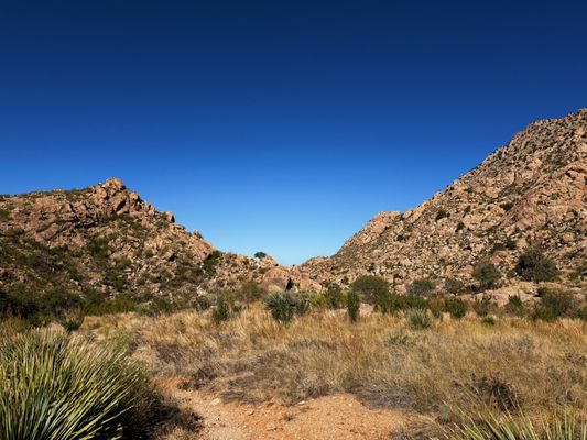 Catalina State Park by null
