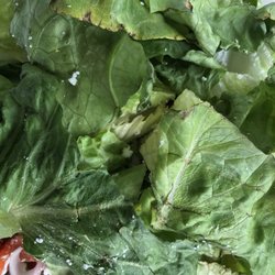 Mino's Take Out - Terrible salad old and burn lettuce