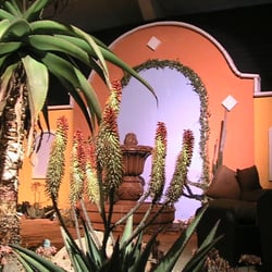 Desert Theater Nursery - Desert Landscaping