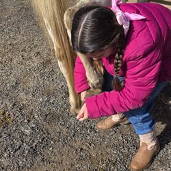 A Tennessee Dude & Guest Ranch