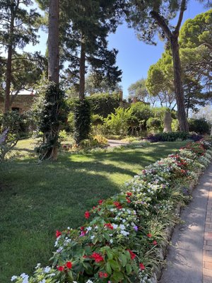 Gardens of Augustus by null