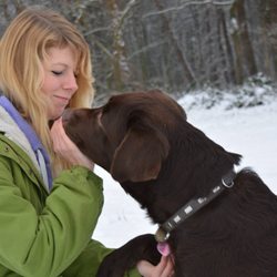 Hundeschule Seite an Seite