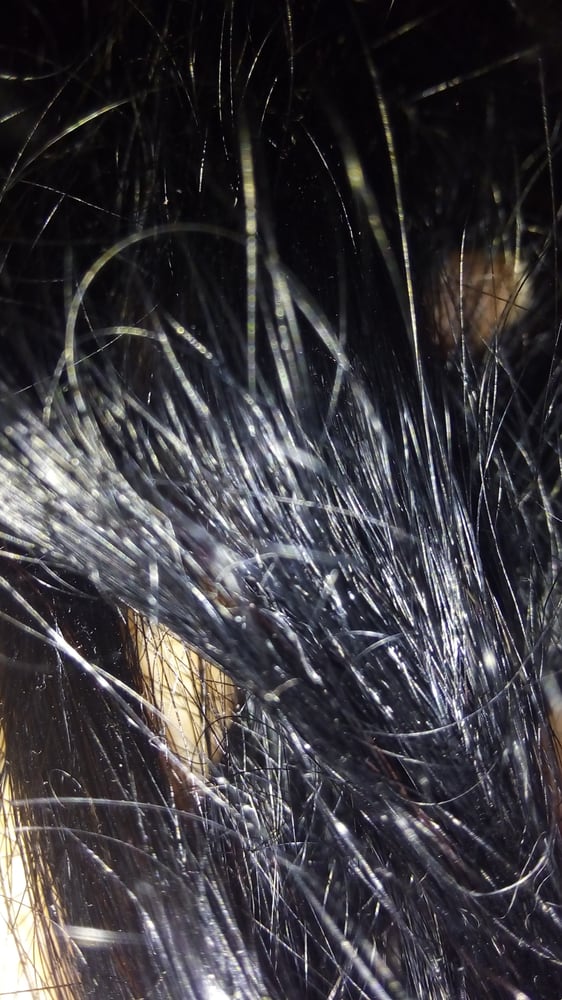 HAIR PLUS BEAUTY SUPPLY Updated September 2024 20 Reviews 5071