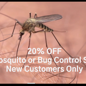 Executive Lawn Services & Sealcoating - Residential & Commercial
Mosquito & Bug Control
Free Quote | Locally Owned | Over 20 Years of Experience - Landscape Architects or Designers Near Me Executive Lawn Services & Sealcoating - Residential & Commercial
Mosquito & Bug Control
Free Quote | Locally Owned | Over 20 Years of Experience - Landscape Architects or Designers Near Me