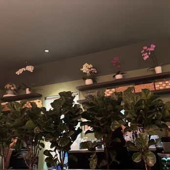LUA Asian Fusion Eatery - Decor - Asian Fusion Near Me - Dana Point, California LUA Asian Fusion Eatery - Decor - Asian Fusion Near Me - Dana Point, California