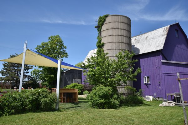 Closson Chase Vineyards by null