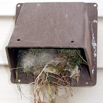 911 Dryer Vent Cleaning - Air Duct Cleaning Near Me 911 Dryer Vent Cleaning - Air Duct Cleaning Near Me