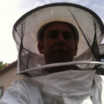 Valley View Pest Control - Dan working bee job - Pest Control Near Me - Las Vegas, Nevada