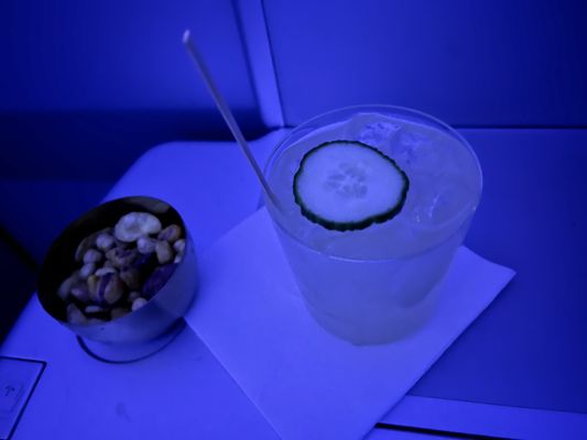 JetBlue Airways by null