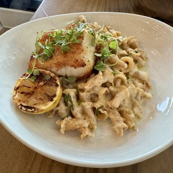 Salt at Carmel City Center - Parmesan crusted sea bass with mac & cheese - Seafood Near Me - Carmel, Indiana