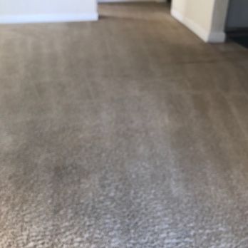 Stay Cleaned Up - High traffic zone- after - Carpet Cleaning Near Me - Hayward, California Stay Cleaned Up - High traffic zone- after - Carpet Cleaning Near Me - Hayward, California