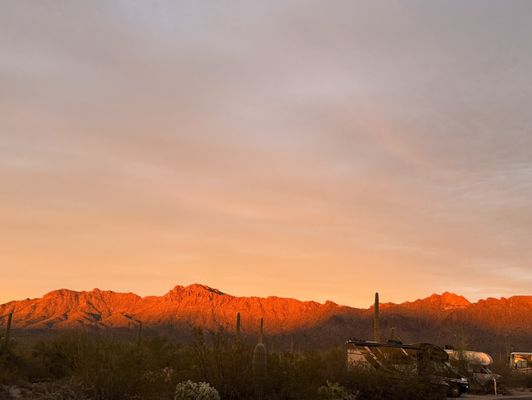 Gilbert Ray Campground by null
