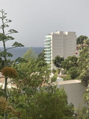 Iberostar Grand Portals Nous by null