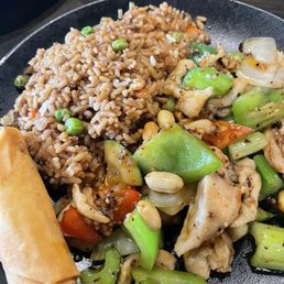 Chicken Kung Pao Chicken 宫保鸡片