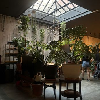 Antidote - Cocktail Bars Near Me - Brooklyn, New York