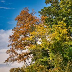 Hartshorne Woods Park