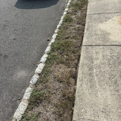 Green Lawn Fertilizing