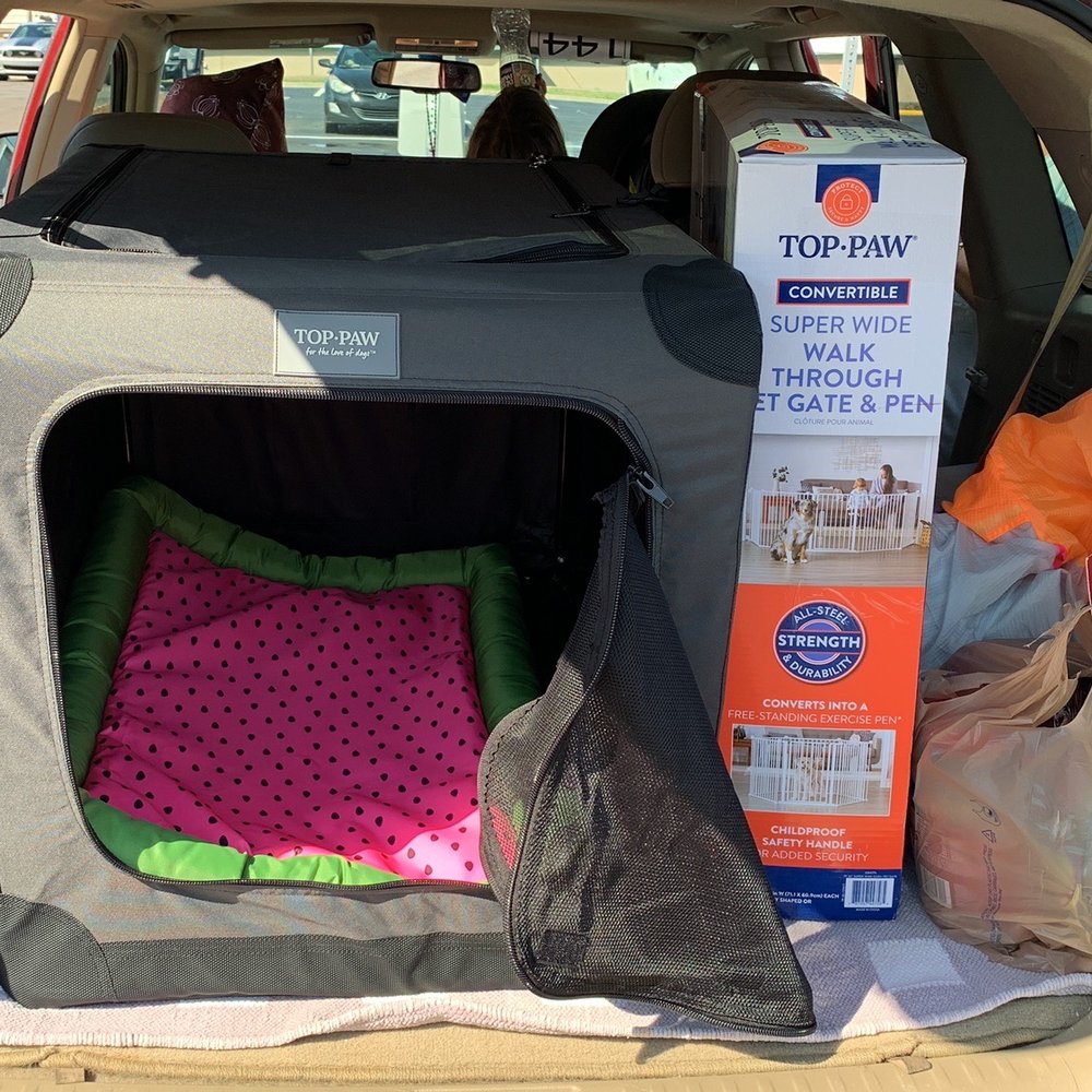 PetSmart - Pet Stores Near Me - Madison, Tennessee