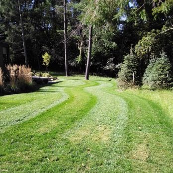A Cut Above Lawn Care - a view of a green lawn - Lawn Services Near Me A Cut Above Lawn Care - a view of a green lawn - Lawn Services Near Me