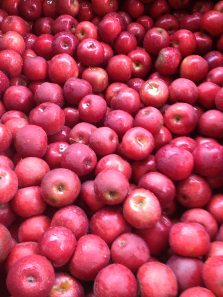 HUMP MOUNTAIN APPLE HOUSE 46 Buck Mountain Rd, Elk Park, NC Yelp