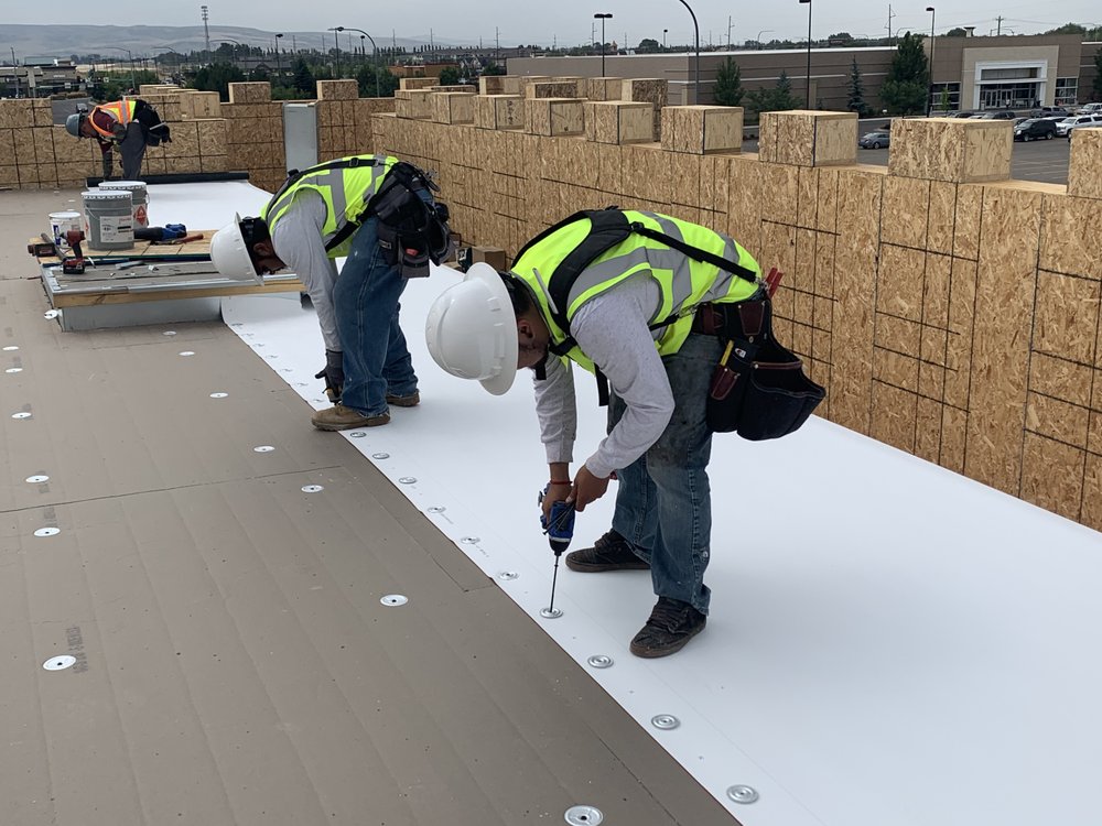 ELITE ROOFING SYSTEMS Updated October 2024 14 Photos 2019