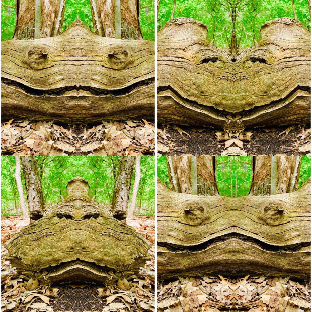 Paint Creek Center For the Arts, Rochester Roadtrippers